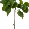 Intratuin kunstplant Ficus umbellata D 19,5 H 174 cm