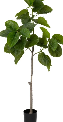 Intratuin kunstplant Ficus umbellata D 19,5 H 174 cm