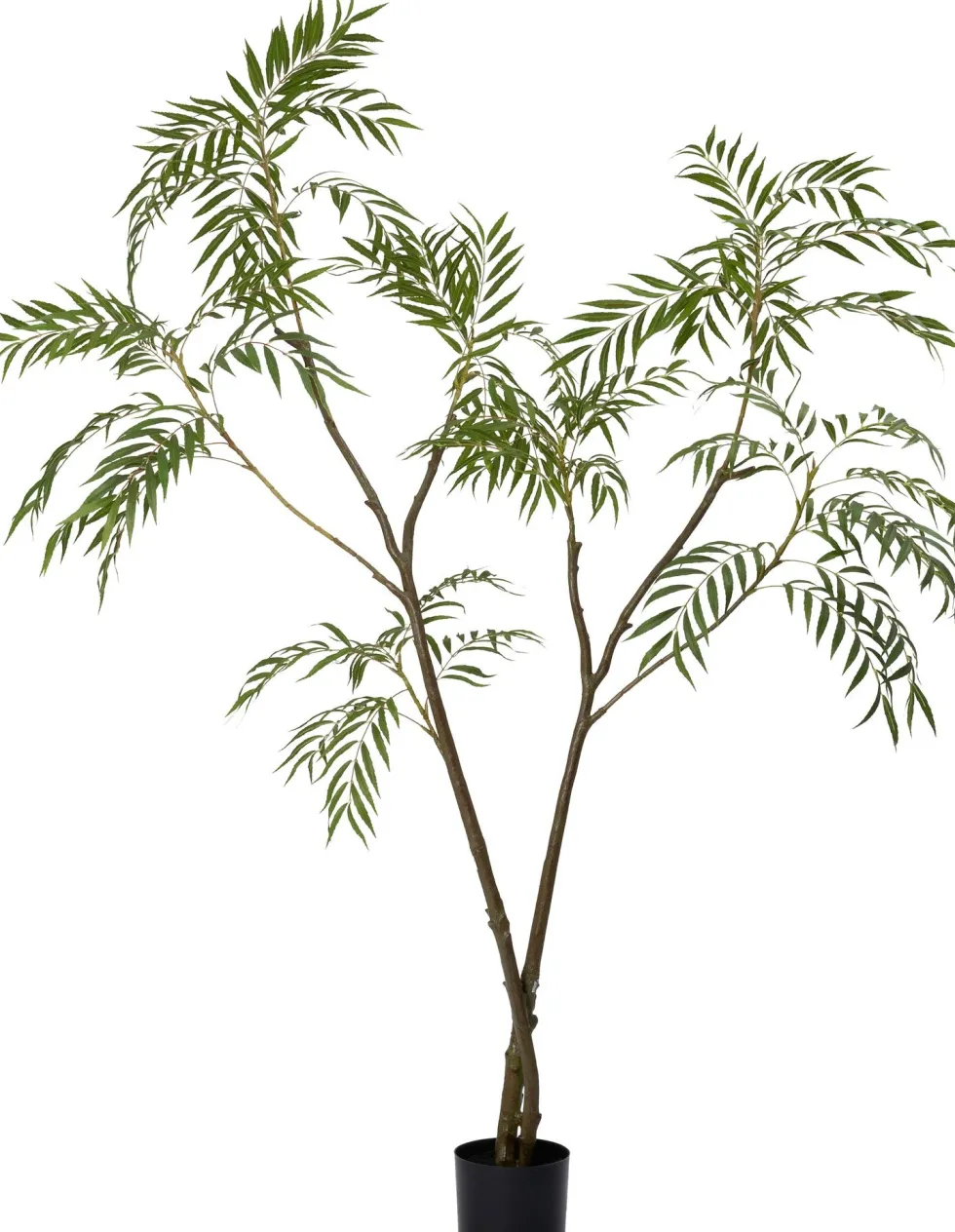 Intratuin kunstplant Fluweelboom D 17 H 180 cm