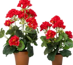 Intratuin kunstplant Geranium rood D 8,5 H 34 cm