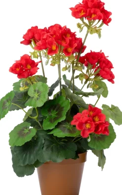 Intratuin kunstplant Geranium rood D 12 H 43 cm