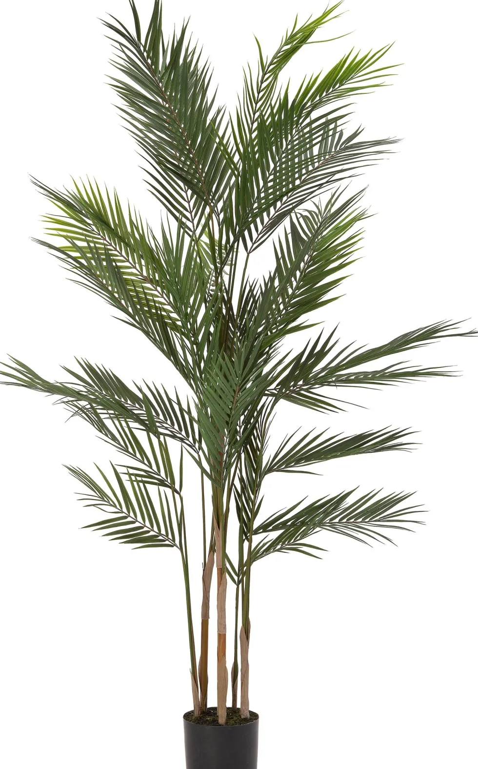 Intratuin kunstplant Goudpalm geel D 15 H 152 cm