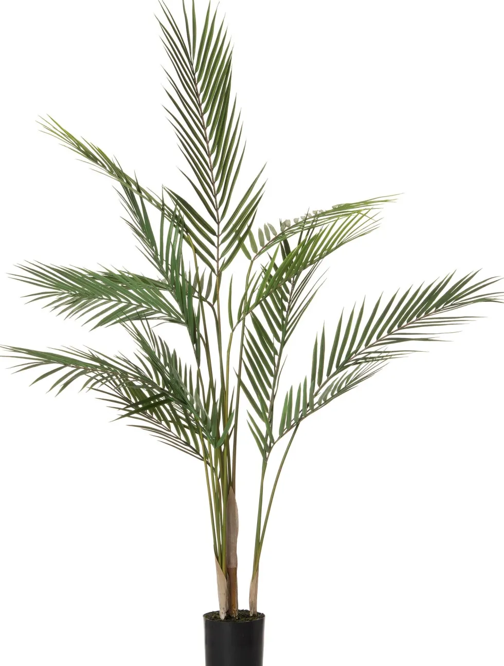 Intratuin kunstplant Goudpalm D 10 H 91 cm