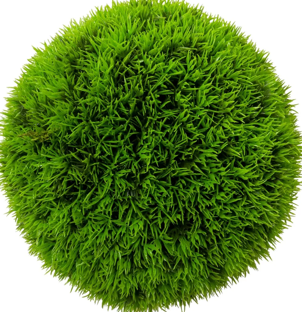 Intratuin kunstplant Grasbol H 17 cm