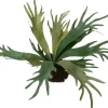 Intratuin kunstplant Hertshoornvaren D 12,9 H 40 cm