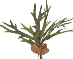 Intratuin kunstplant Hertshoornvaren H 50 cm