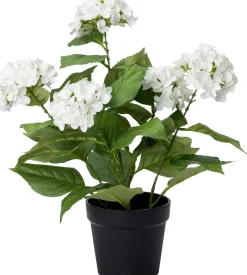 Intratuin kunstplant Hortensia wit D 15 H 50 cm