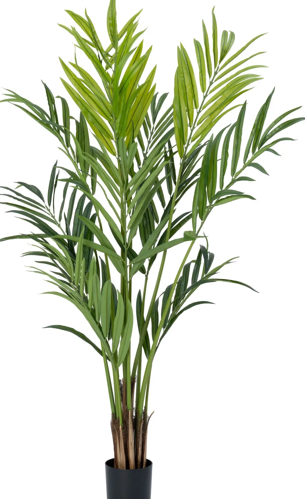 intratuin kunstplant Kentiapalm D 18 H 190 cm