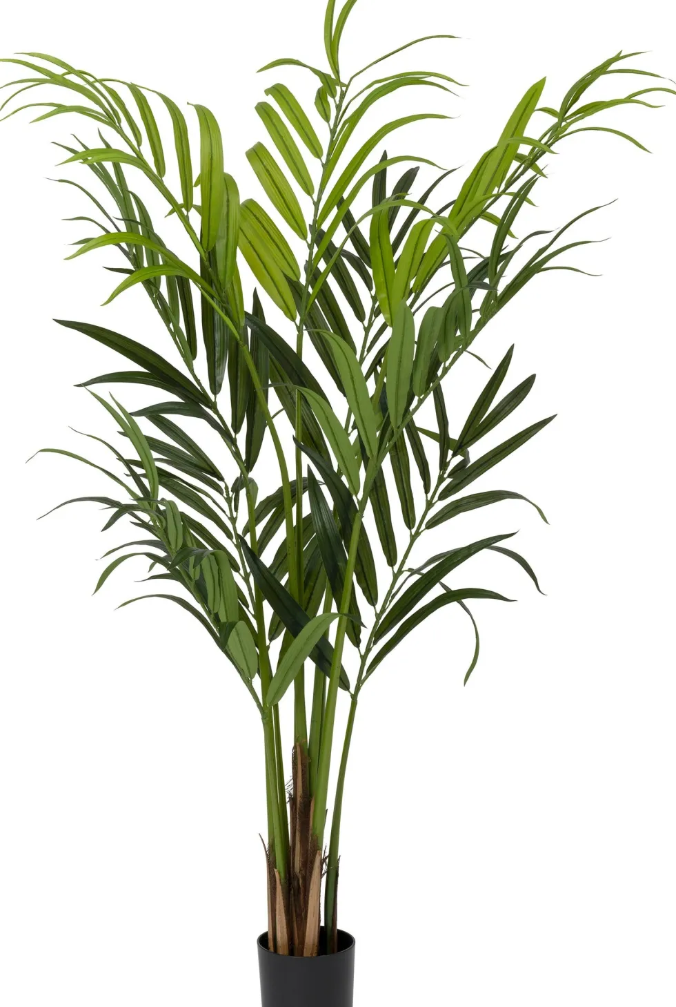 Intratuin kunstplant Kentiapalm D 15.5 H 160 cm