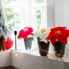 Intratuin kunstplant Kerstster lichtrood H 17 cm