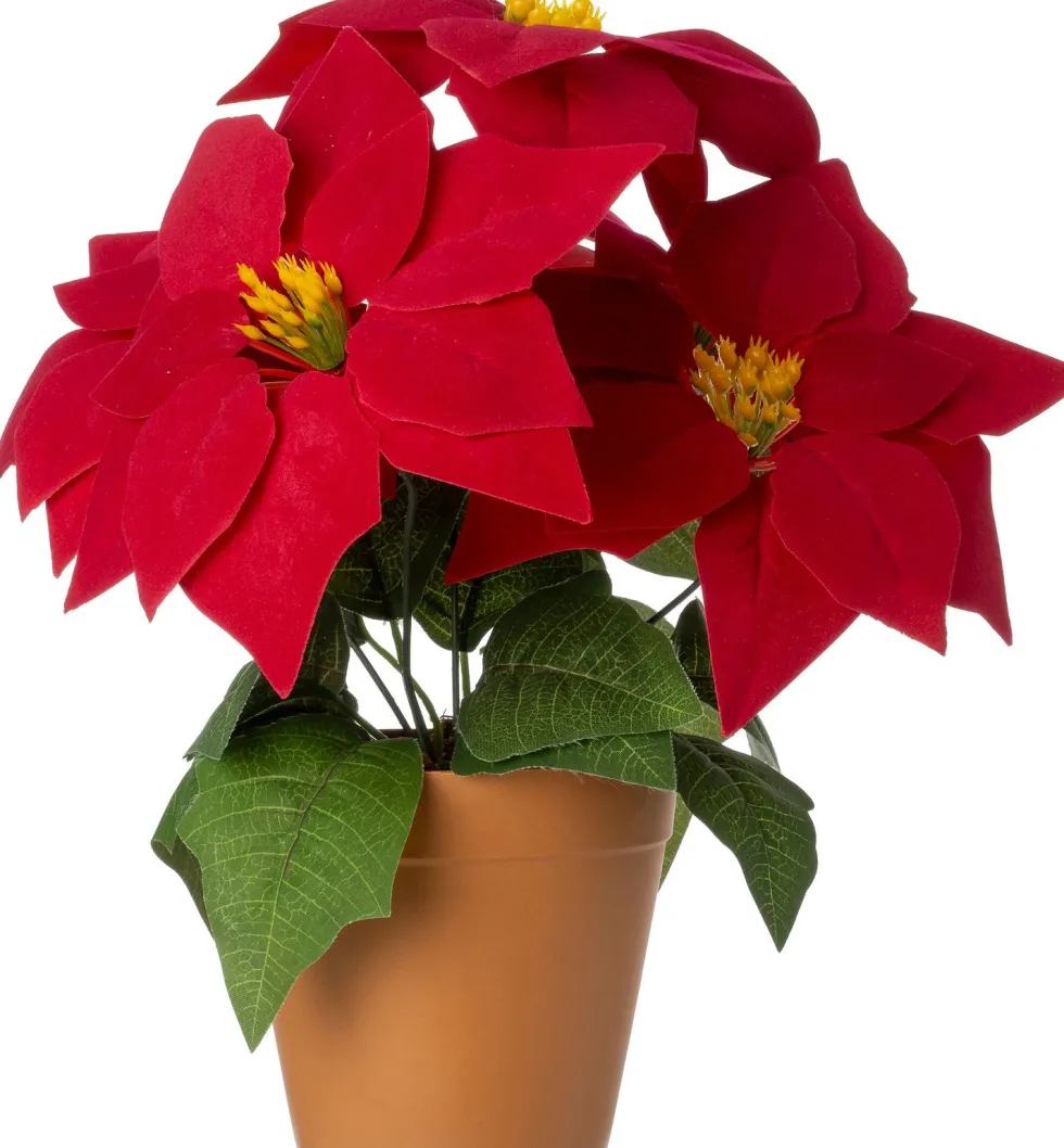 Intratuin kunstplant Kerstster donkerrood H 32 cm
