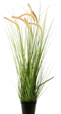 Intratuin kunstplant Lampenpoetsersgras beige D 13 H 80 cm