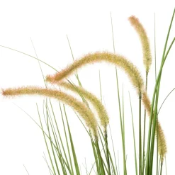 Intratuin kunstplant Lampenpoetsersgras beige D 13 H 80 cm