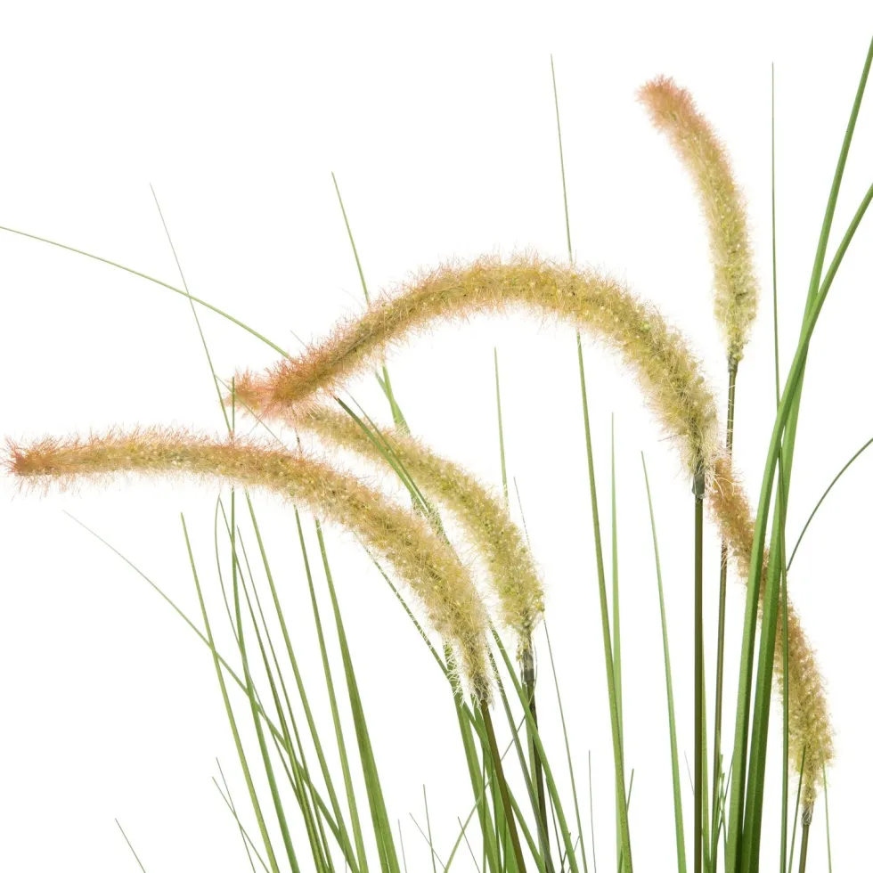 Intratuin kunstplant Lampenpoetsersgras beige H 110 cm