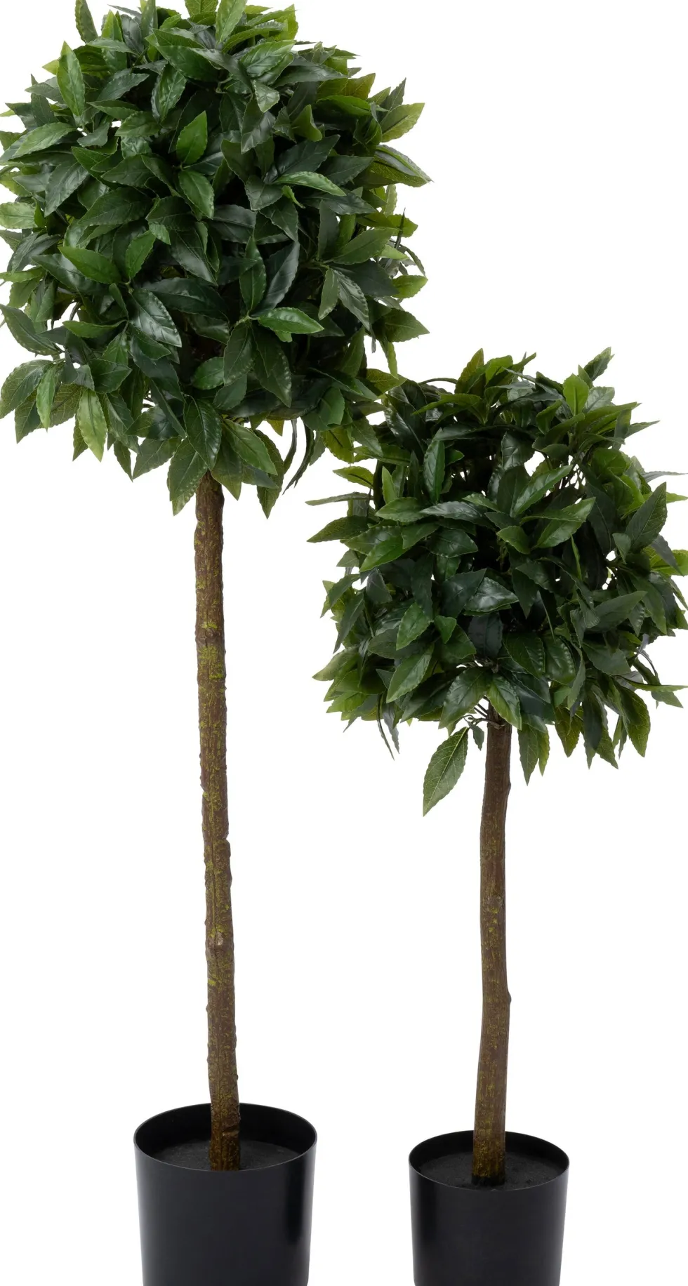 Intratuin kunstplant Laurier D 15,5 H 90 cm