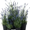 Intratuin kunstplant lavendel paars D 9,5 H 30,5 cm