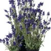 Intratuin kunstplant lavendel paars D 20 H 77 cm