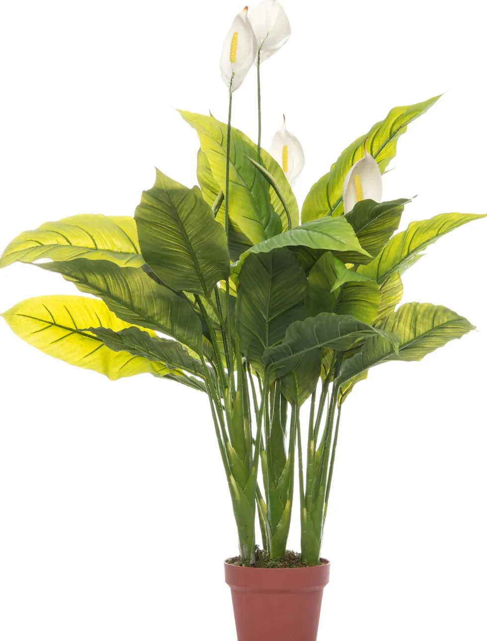 Intratuin kunstplant Lepelplant wit D 17 H 108 cm