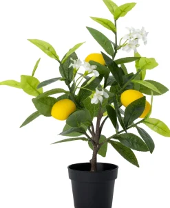 Intratuin kunstplant Limoenboom geel / wit D 8,5 H 38 cm