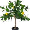Intratuin kunstplant Limoenboom geel / wit D 15 H 98 cm