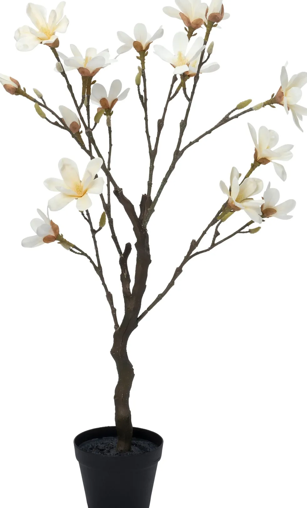 Intratuin kunstplant Magnolia wit D 16 H 98 cm