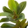 Intratuin kunstplant Magnolia H 160 cm