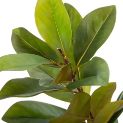 Intratuin kunstplant Magnolia H 160 cm