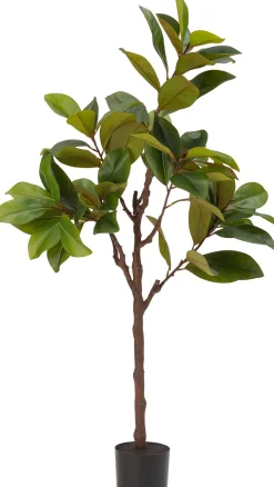Intratuin kunstplant Magnolia H 160 cm