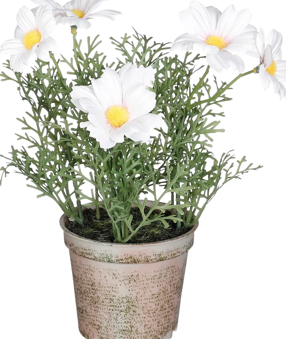 Intratuin kunstplant Margriet wit H 21,5 cm