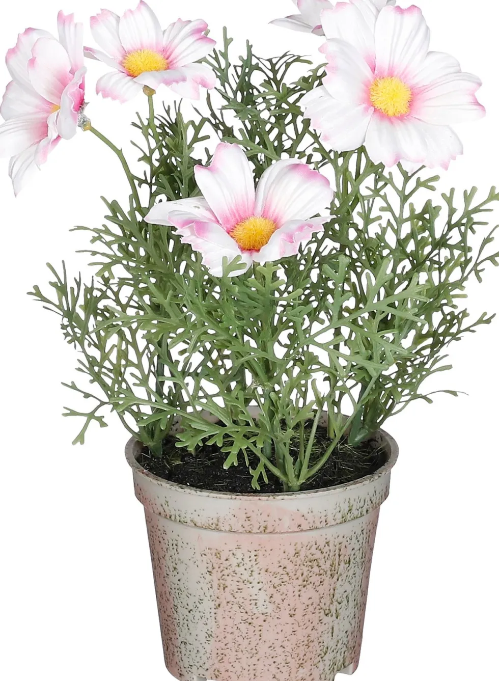Intratuin kunstplant Margriet roze H 21,5 cm