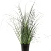 Intratuin kunstplant Miscanthus D 11 H 31,5 cm