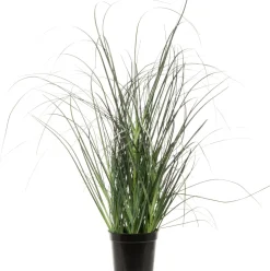 Intratuin kunstplant Miscanthus D 11 H 31,5 cm
