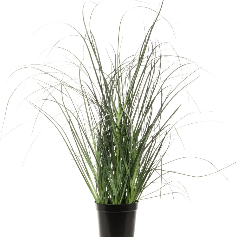 Intratuin kunstplant Miscanthus D 11 H 31,5 cm