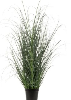 Intratuin kunstplant Miscanthus D 13 H 29 cm