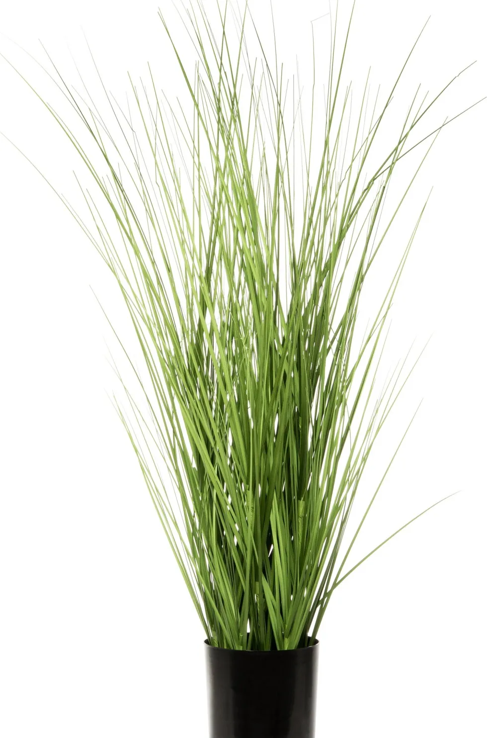 Intratuin kunstplant Miscanthus D 12,5 H 80 cm