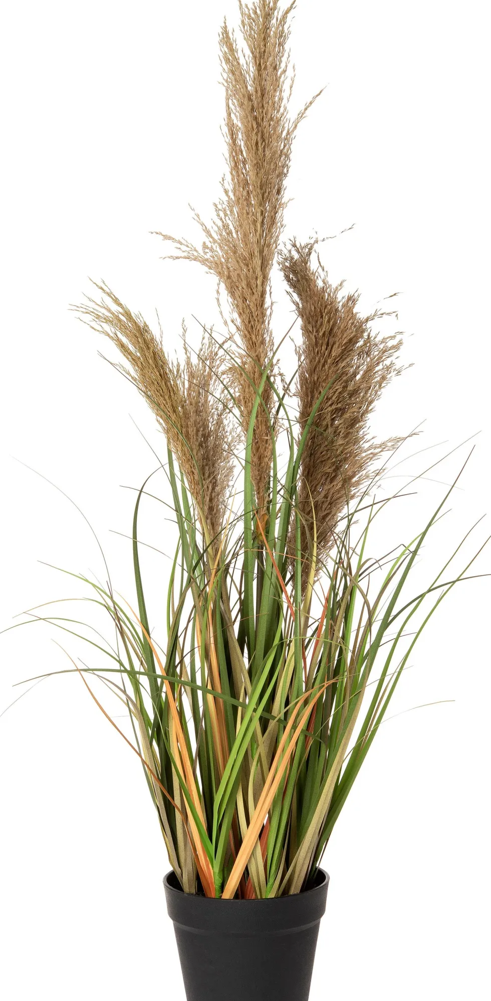 Intratuin kunstplant Miscanthus H 85 cm