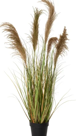 Intratuin kunstplant Miscanthus H 135 cm