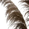 Intratuin kunstplant Miscanthus bruin H 120 cm
