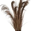 Intratuin kunstplant Miscanthus bruin H 106 cm
