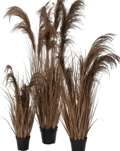 Intratuin kunstplant Miscanthus bruin H 80 cm