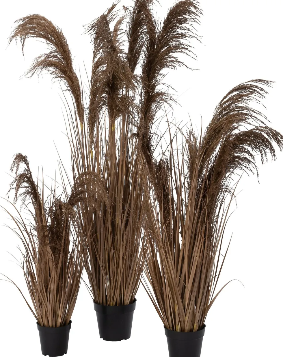 Intratuin kunstplant Miscanthus bruin H 80 cm