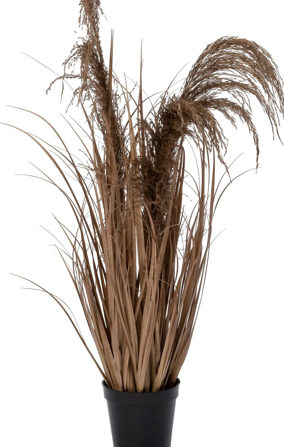 Intratuin kunstplant Miscanthus bruin H 80 cm