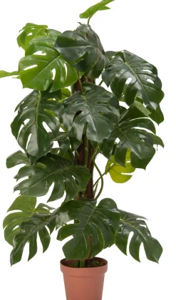 Intratuin kunstplant Monstera D 20 H 140 cm