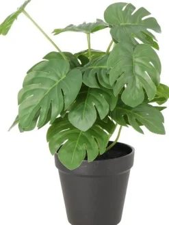 Intratuin kunstplant Monstera D 11 H 30 cm
