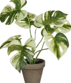 Intratuin kunstplant Monstera groen / wit H 30 cm