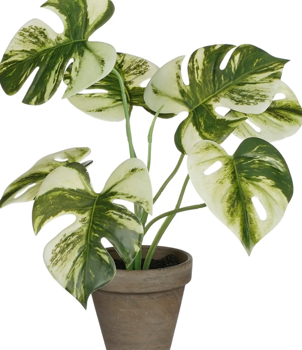 Intratuin kunstplant Monstera groen / wit H 30 cm