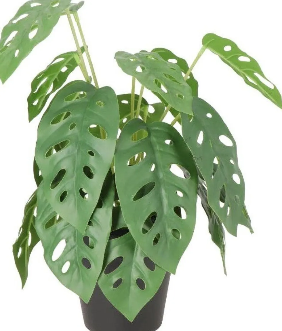 Intratuin kunstplant Monstera andersoni D 11 H 30 cm