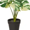 Intratuin kunstplant Monstera groen / wit H 26 cm