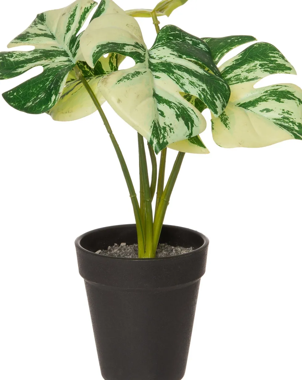 Intratuin kunstplant Monstera groen / wit H 26 cm