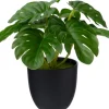 Intratuin kunstplant Monstera D 7 H 16 cm